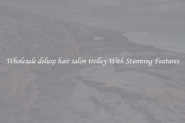 Wholesale deluxe hair salon trolley With Stunning Features