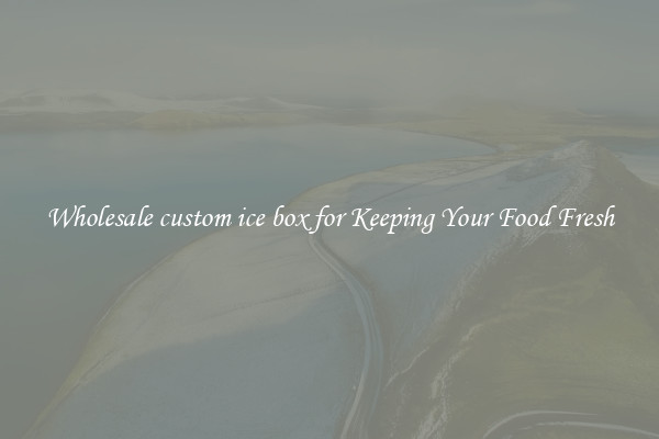 Wholesale custom ice box for Keeping Your Food Fresh