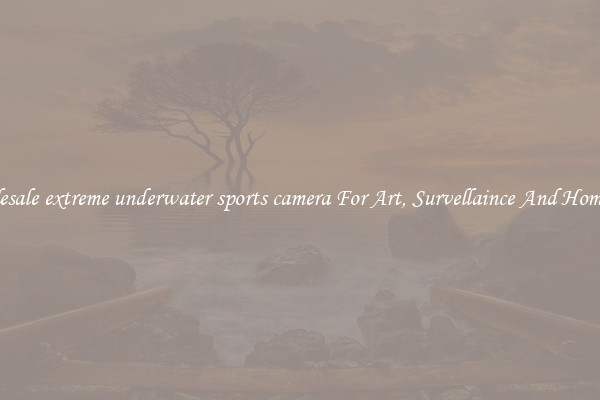 Wholesale extreme underwater sports camera For Art, Survellaince And Home Use