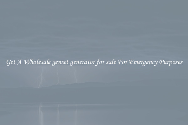 Get A Wholesale genset generator for sale For Emergency Purposes