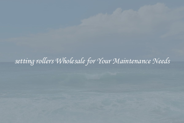 setting rollers Wholesale for Your Maintenance Needs