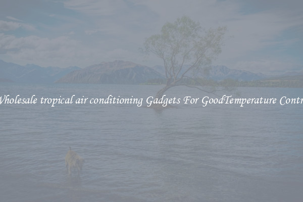 Wholesale tropical air conditioning Gadgets For GoodTemperature Control
