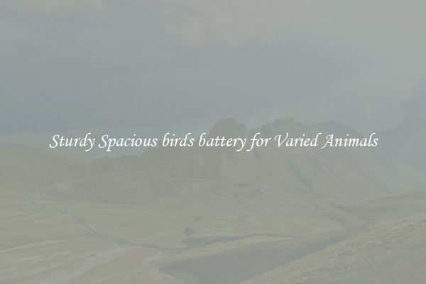 Sturdy Spacious birds battery for Varied Animals