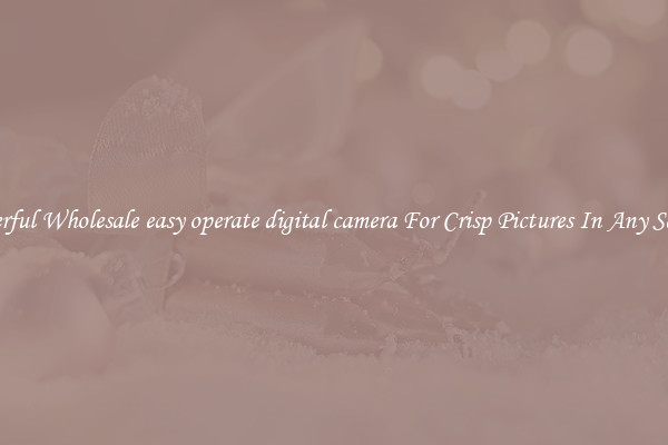 Powerful Wholesale easy operate digital camera For Crisp Pictures In Any Setting