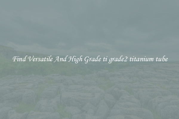 Find Versatile And High Grade ti grade2 titanium tube