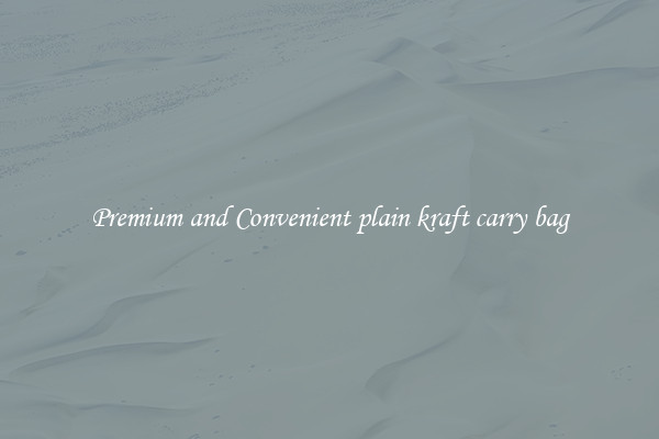 Premium and Convenient plain kraft carry bag