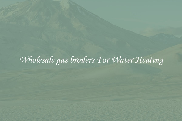 Wholesale gas broilers For Water Heating