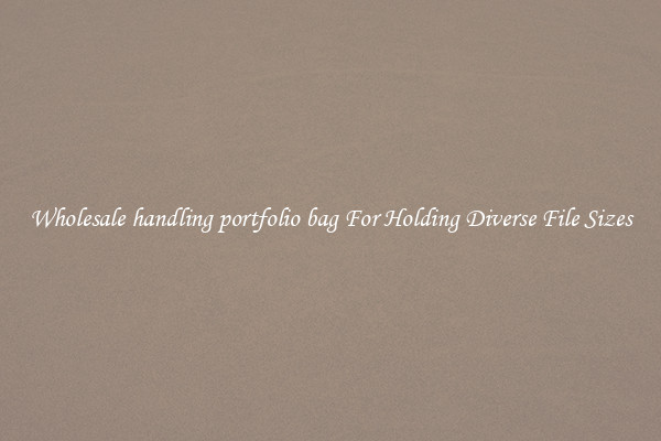 Wholesale handling portfolio bag For Holding Diverse File Sizes