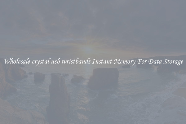 Wholesale crystal usb wristbands Instant Memory For Data Storage