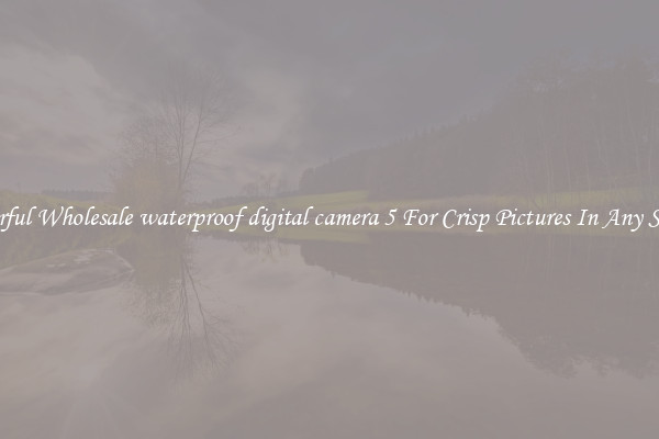 Powerful Wholesale waterproof digital camera 5 For Crisp Pictures In Any Setting