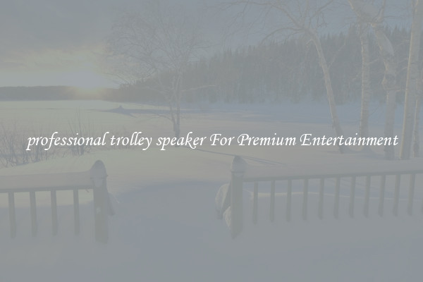 professional trolley speaker For Premium Entertainment