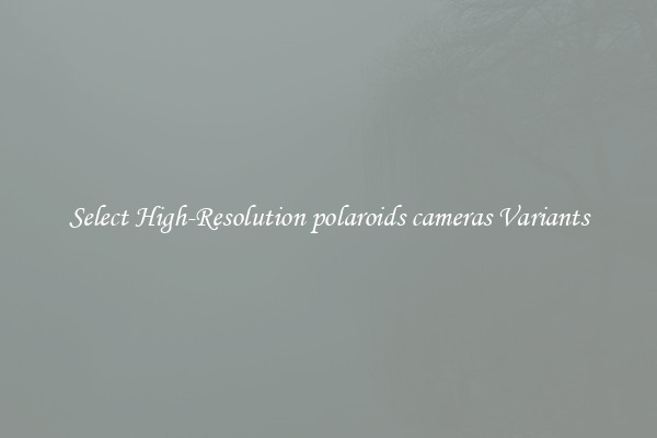 Select High-Resolution polaroids cameras Variants