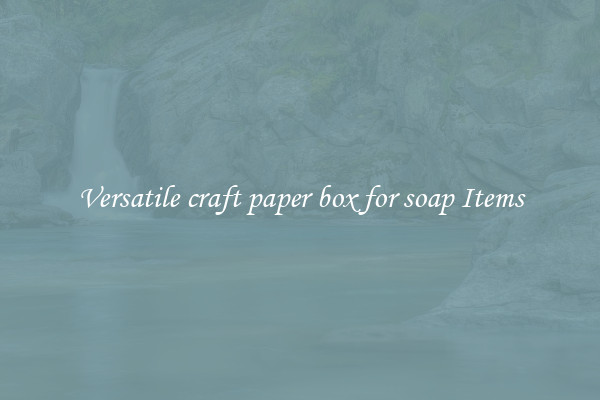 Versatile craft paper box for soap Items