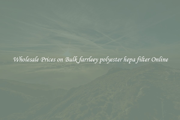 Wholesale Prices on Bulk farrleey polyester hepa filter Online