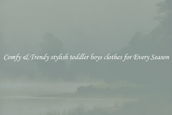 Comfy & Trendy stylish toddler boys clothes for Every Season