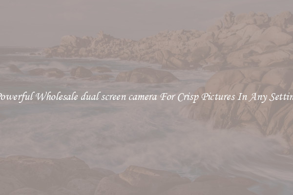 Powerful Wholesale dual screen camera For Crisp Pictures In Any Setting